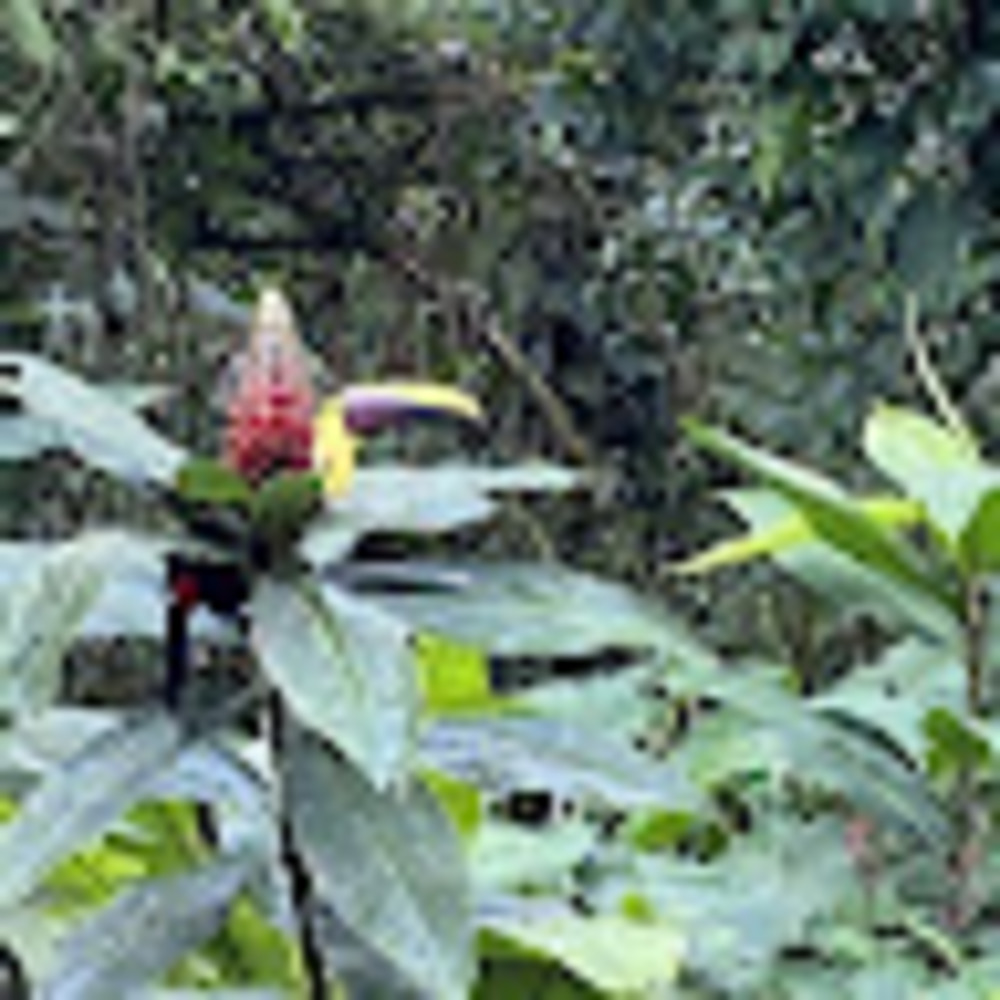 Meet your Posher, Meg